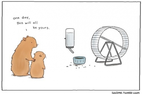 BKWSU-hamster-wheel.jpg