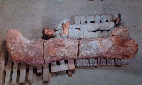 new-dinosaur-argentina-009.jpg