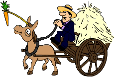donkey.gif