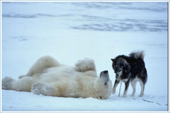 image006.jpg